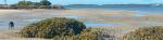 Low Tide prediction