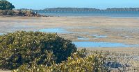 Tidal Currents For Sea Kayaking. Know how To Predict.