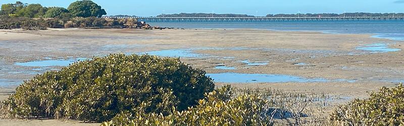 Low Tide prediction